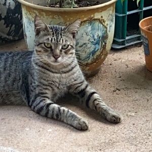 Meet your Posher, Sera